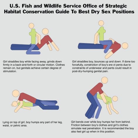 Illustration for article titled Dry Humping An Adequate Sex Alternative For Teens, Says Weird, Unsolicited Report From Department Of Interior